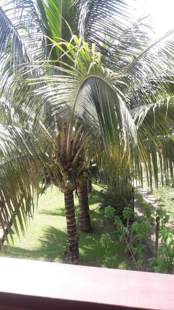 Pousada Do Dorinho Ilhabela Exterior foto